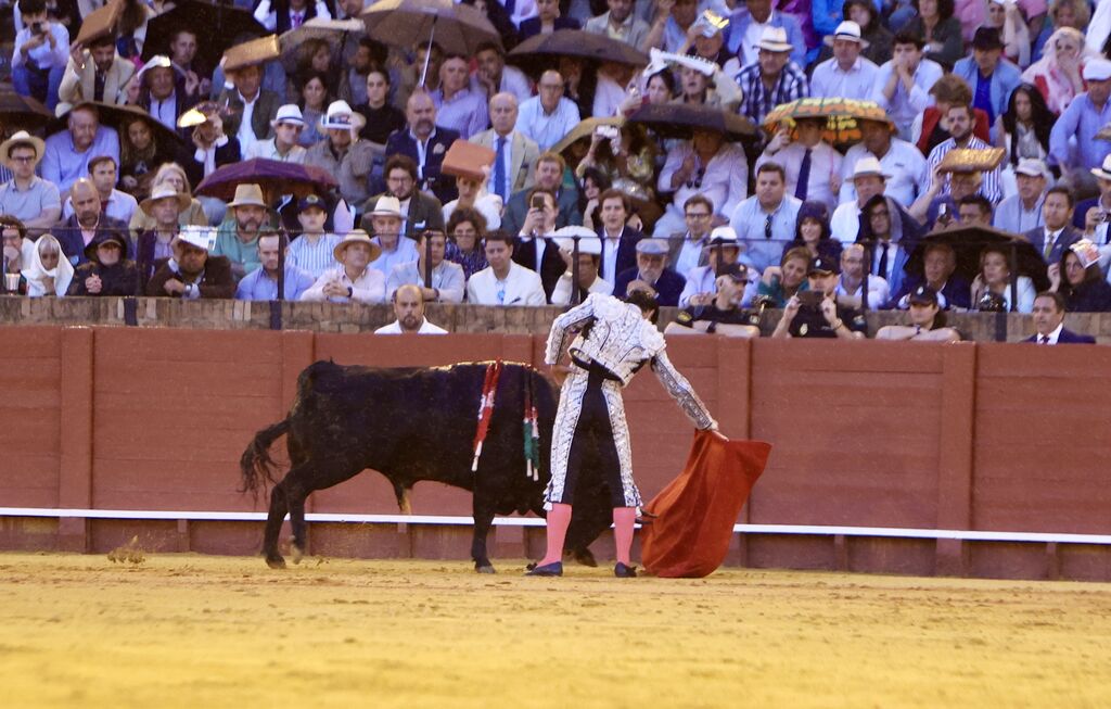 Las mejores im&aacute;genes de la corrida de toros de Juan Ortega, Roca Rey y Pablo Aguado