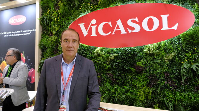 José Antonio Fernández, gerente de Vicasol.